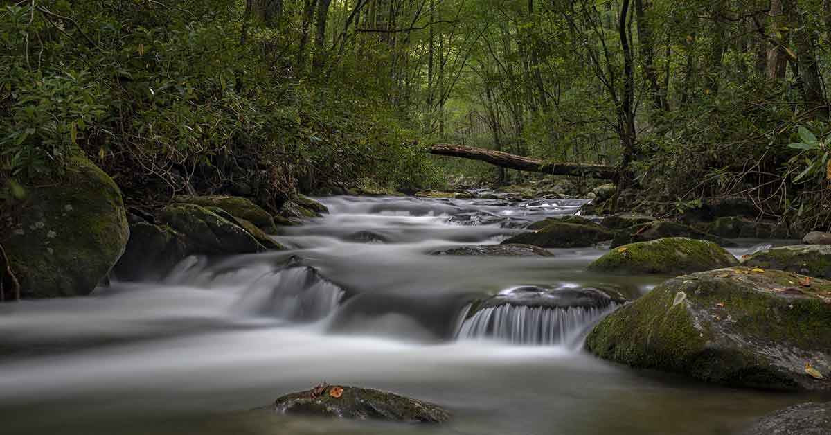 State Parks in Middle Tennessee