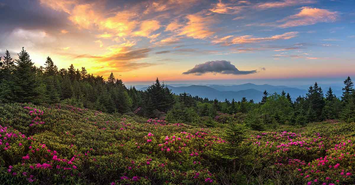 State Parks in East Tennessee