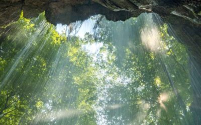 9 Amazing State Parks In Tennessee You Don’t Want To Miss