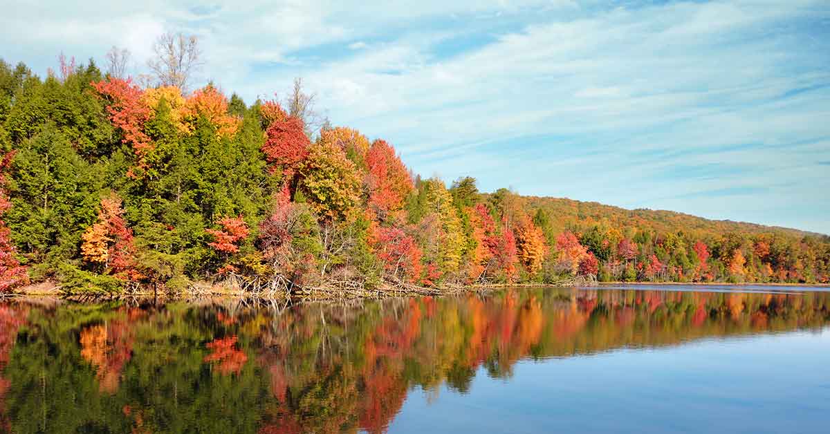 Cherokee National Forest