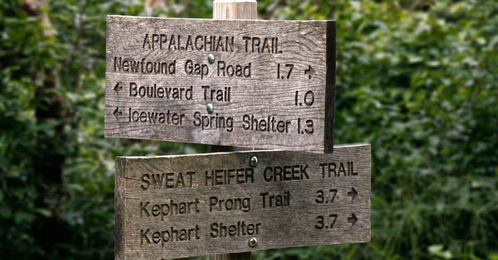 The 8 Best Tennessee Hiking Trails - All Skill Levels